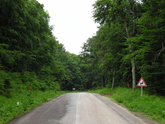 P5270131.JPG