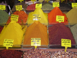P1010200_001.JPG
