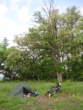 P5260103.JPG