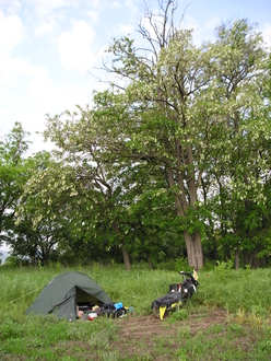 P5260103.JPG