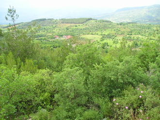 P6020218.JPG