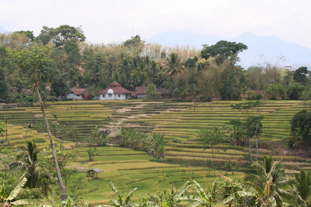 indonesia_5850.jpg