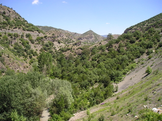 P6030230.JPG