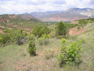 P6040234.JPG