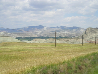 P6040241.JPG