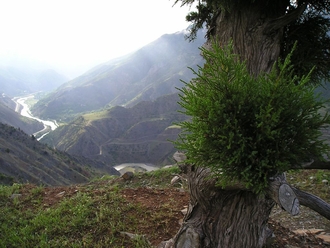 P1010195.JPG