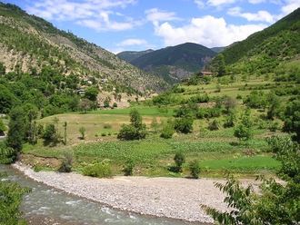 P1010206.JPG