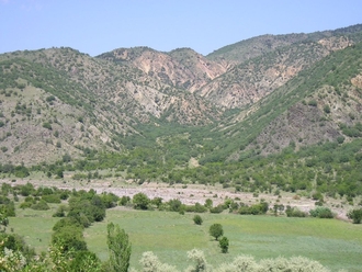 P6100017.JPG