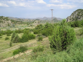 P6110050.JPG