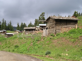 P6220224.JPG