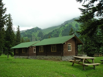 P6220230.JPG