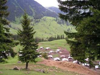P6220231.JPG