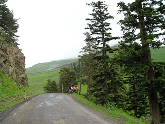P6220235.JPG
