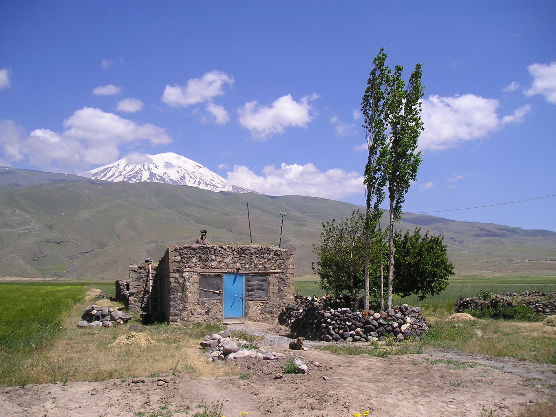 P6250038.JPG