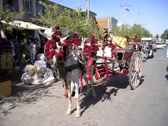 P7230044.JPG