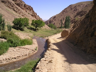 P7310239.JPG