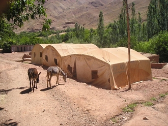 P7310243.JPG