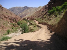 P7310244.JPG