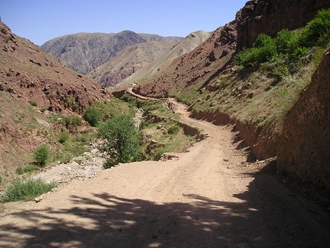 P7310244.JPG