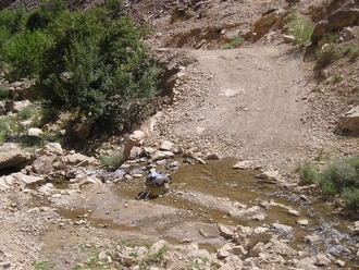P7310269.JPG