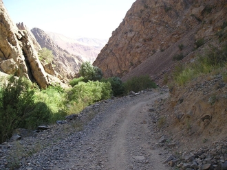 P7310278.JPG