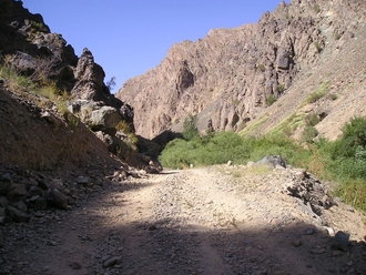 P7310279.JPG