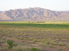 File033.JPG