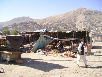 P1010004.JPG