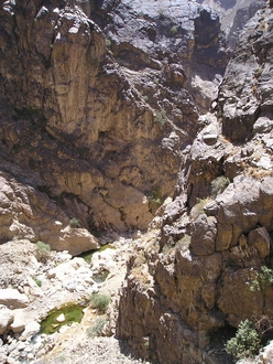 P1010006.JPG