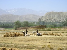 Bamyian