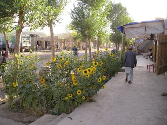 Bamyian