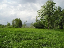 P9230077.JPG