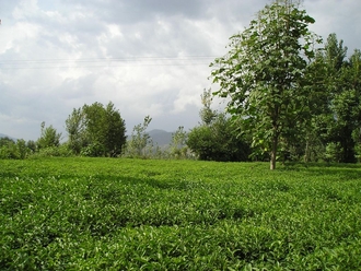 P9230077.JPG