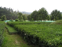 P9230081_001.JPG