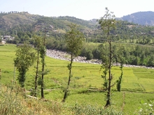 P9240097.JPG