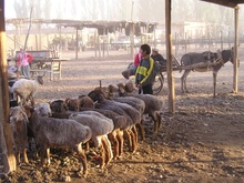 P9300267.JPG
