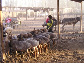 P9300267.JPG