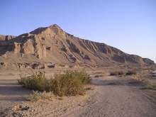 P1010025.JPG