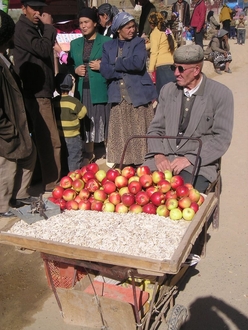 PA210005.JPG