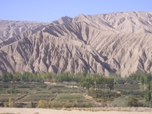 PA210008.JPG
