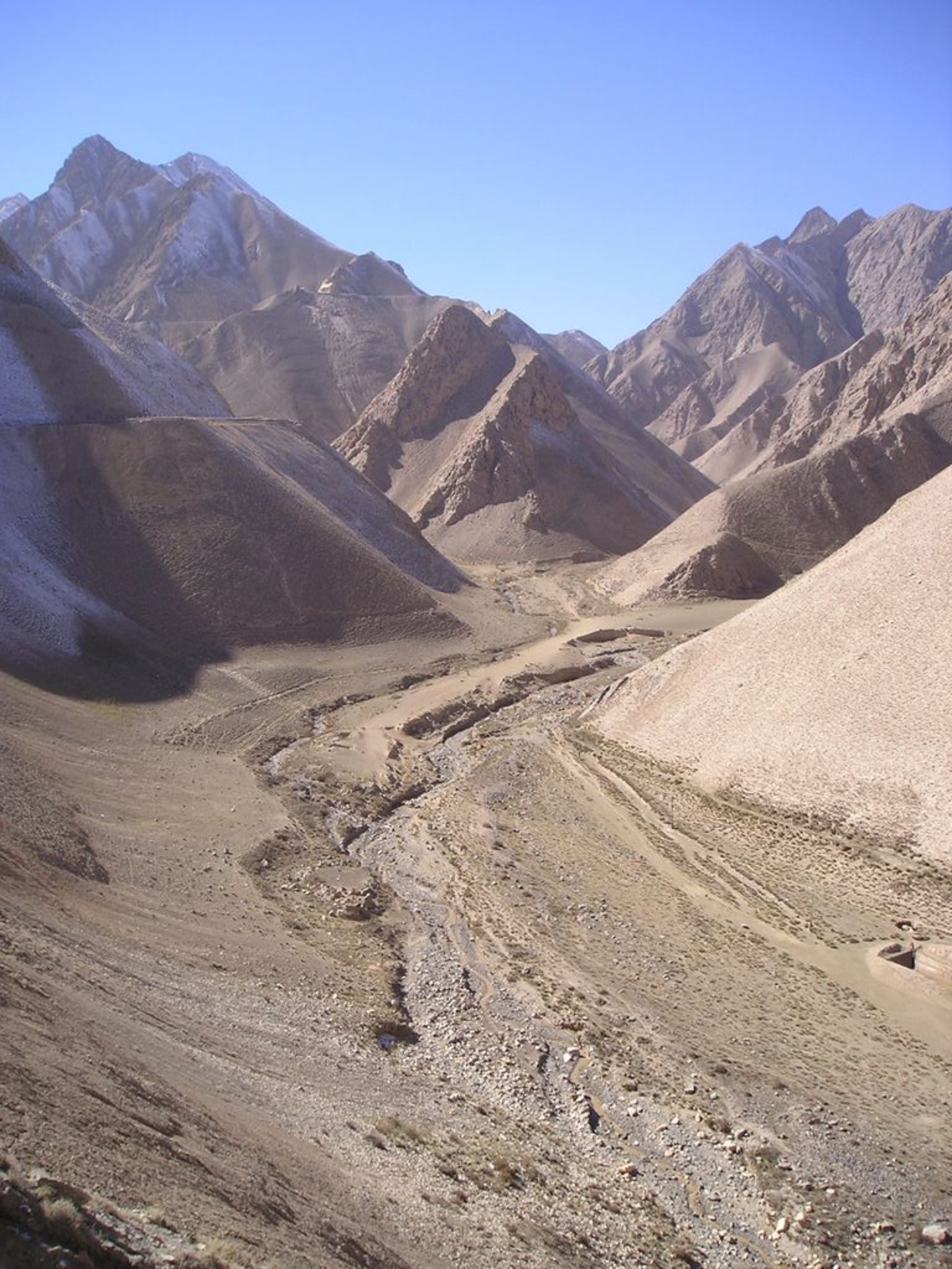 PA220033.JPG