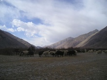 PA260015.JPG