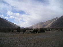 PA260015.JPG